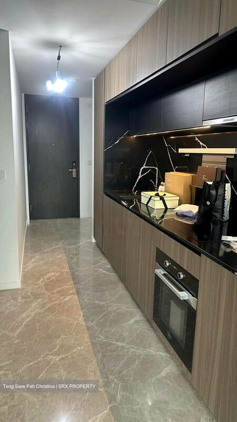 Irwell Hill Residences (D9), Apartment #594565841